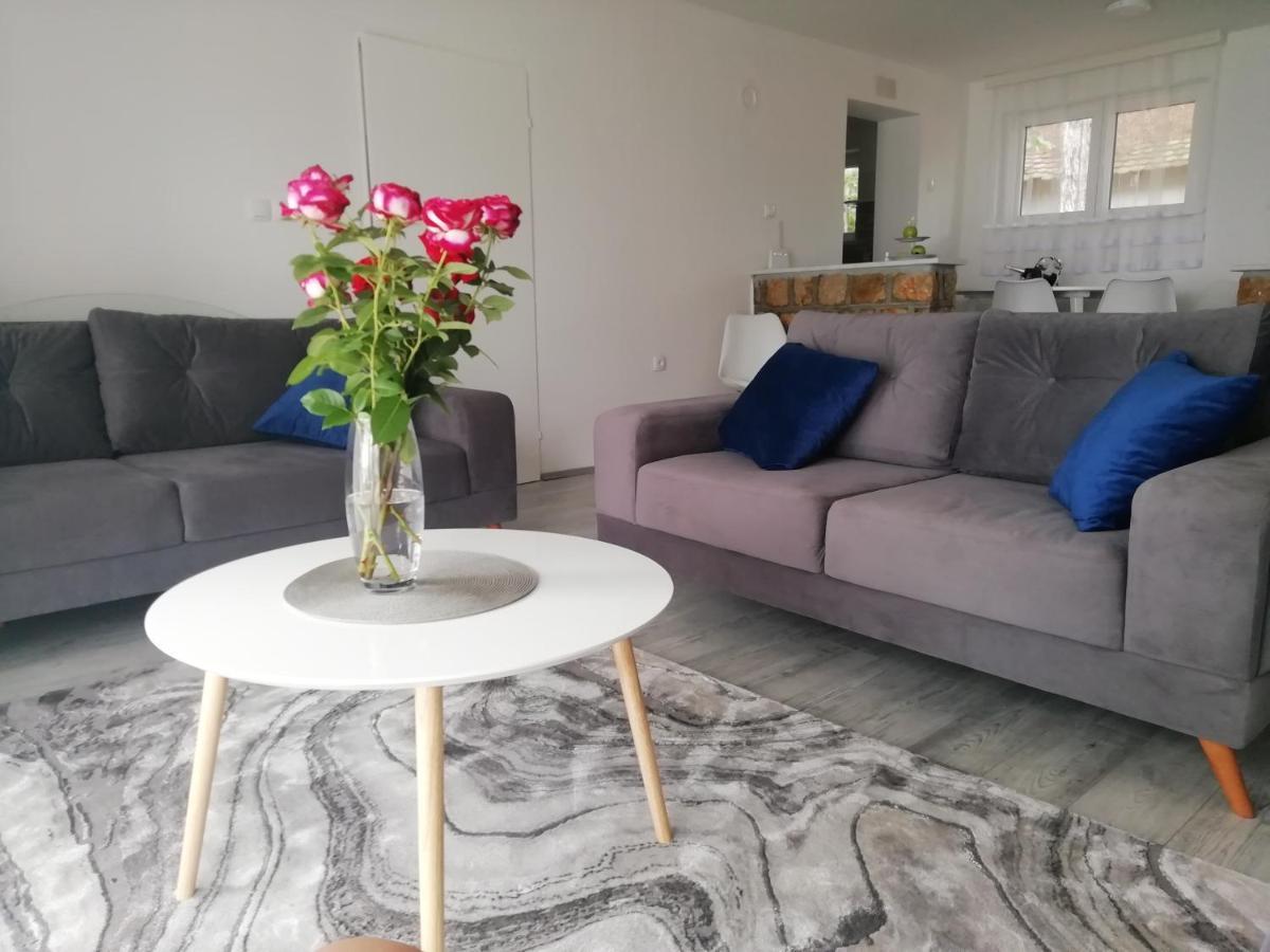 Fenix Apartment & Rooms Vinci Eksteriør billede